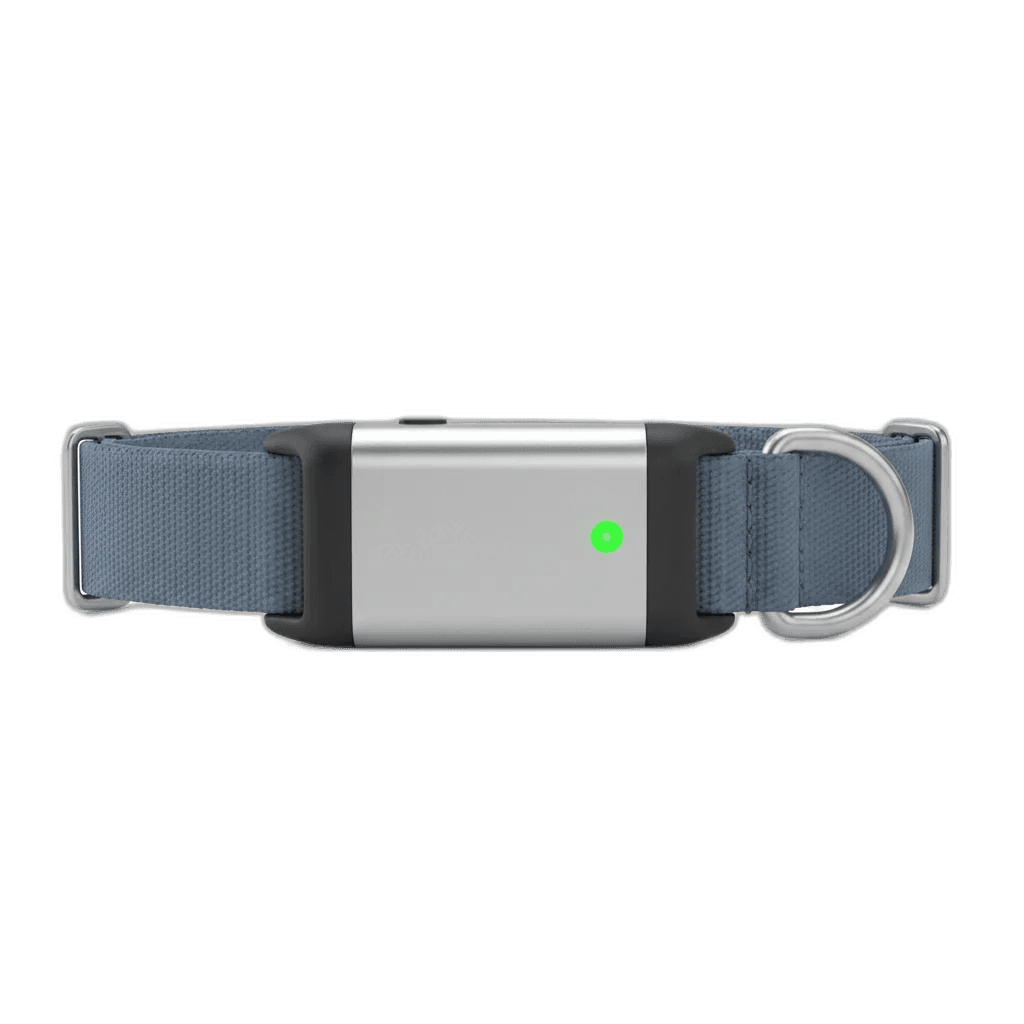 Fi Series 3 Smart Dog Collar — independently researched pet tech pick on PawBench
