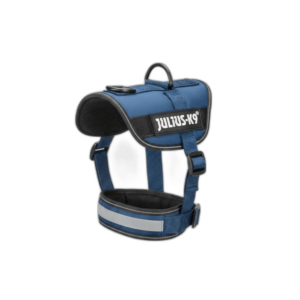 Julius-K9 IDC Powerharness — independently researched leashes collars pick on PawBench